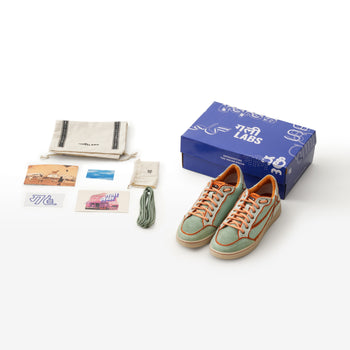 Gully Number 001 - Baaz Firozi Green